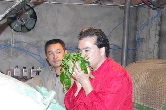 中國茶文化讓老外迷戀 品茶成行家