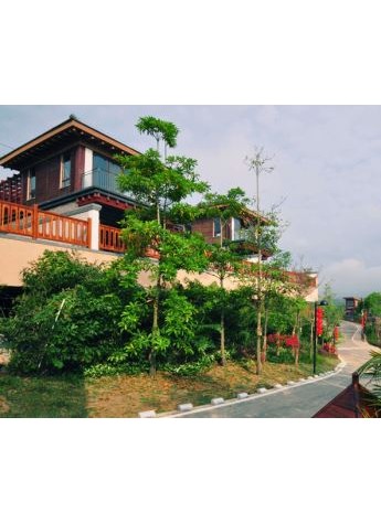 买房的钱≠享受的钱 ---清晏九洲超值享受的度假居所