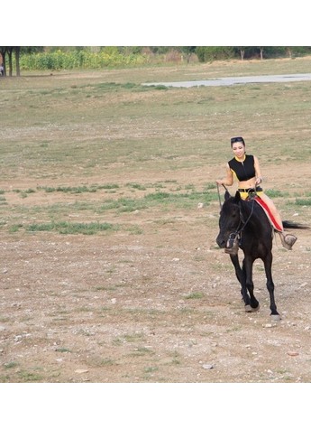 上“比比” 看越野宝贝展大漠柔情