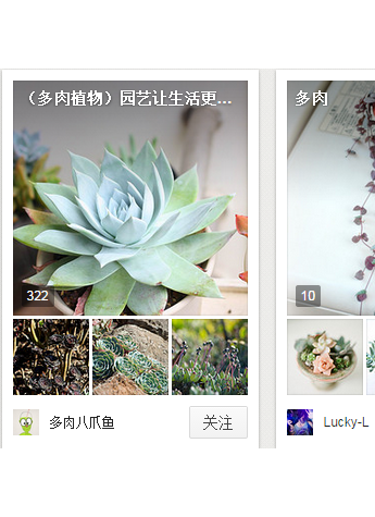 關于多肉的二三事