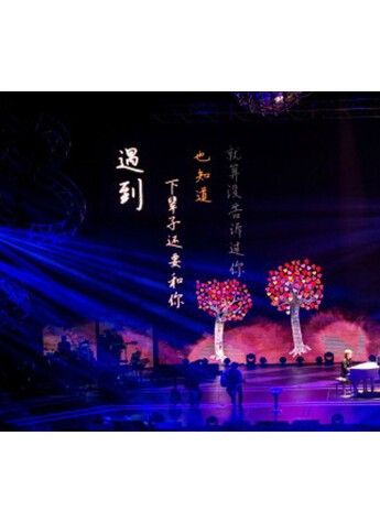 歌迷全情傾注 張信哲廣州演唱會大獲成功