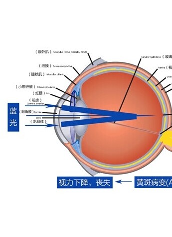 同仁眼科专家力荐 看华为M2·揽阅如何呵护双眼