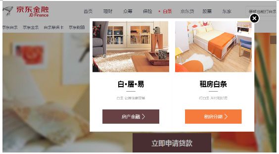 无奋斗不白条 京东金融将年轻人的信用变现_