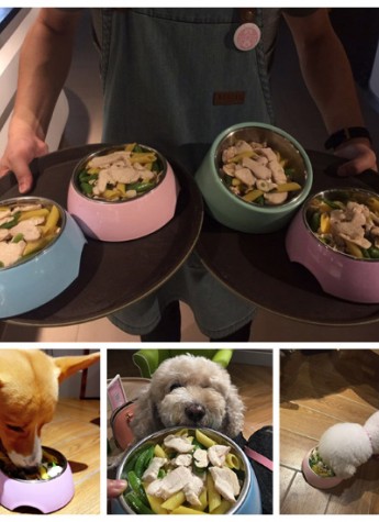 帝都餐厅推出狗狗菜单，打造汪星人的米其林餐厅