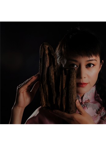 大型装置作品展《抬头见喜》在京展出