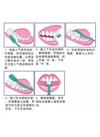 口腔健康小课堂|刷牙大讲究！你这么多年的牙都白刷了吗？