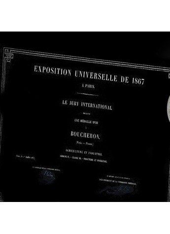 宝诗龙Boucheron在巴黎世博会的经典作品