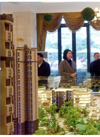 开发办领导考察华茂国际中心 为智慧社区点赞