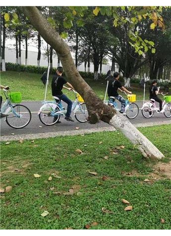 皮肤食粮绿色低碳骑行活动