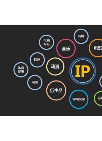 RCIP衍生创新峰会圆满召开，小满文化联手凸凹出品打造真正有价值的IP
