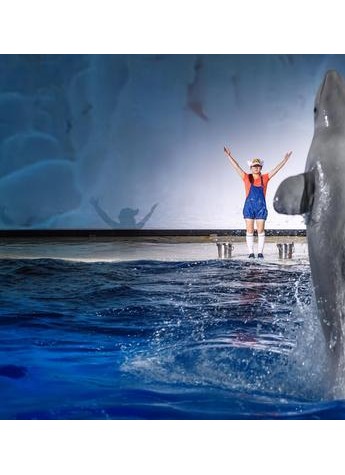 上海长风海洋世界白鲸剧场全新推出《北极历险记》