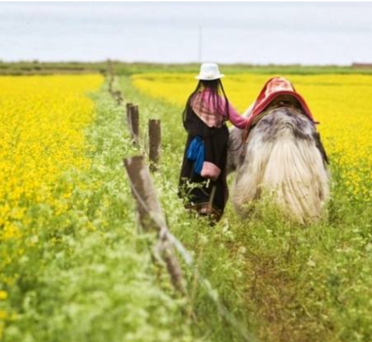 完美旅行最后一站 新加坡必买护肤品不要落下