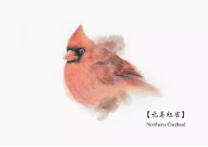 第二届全球插画奖颁奖典礼在法兰克福书展上举办