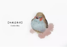 第二届全球插画奖颁奖典礼在法兰克福书展上举办