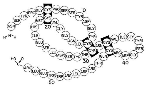 毕生之研寡肽焕肤原液中的EGF到底是什么?_