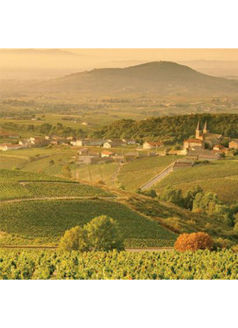 在百般“挑剔”中诞生的多彩 Galaxy S9勃艮第红以本我尽显不凡本色