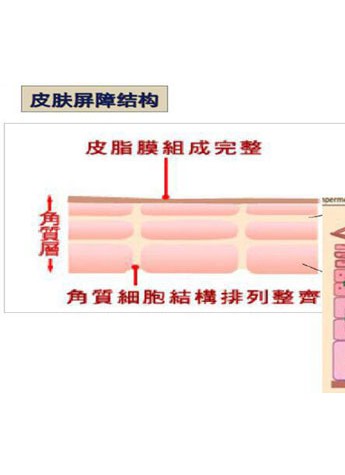 皮膚屏障受損怎么辦？玉澤幫你擁有健康肌膚
