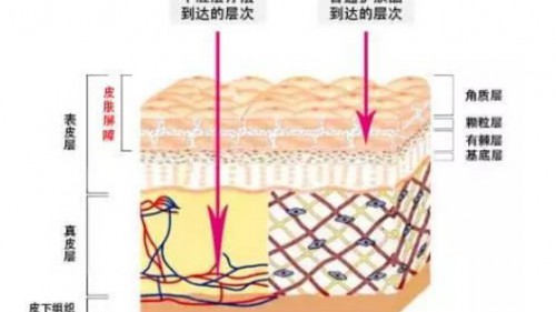 明星达人都知道的美容秘诀：中胚层疗法全面科