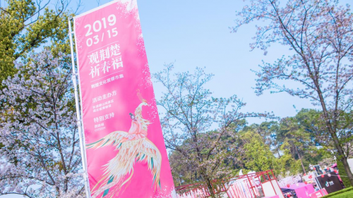 清明踏青好去处，东湖晚樱正当时