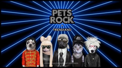 TRENDIANO攜手PETS ROCK，用潮流宣誓一開始一輩子的“寵愛”
