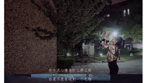 揭秘萬茜的“寶藏藍孩”