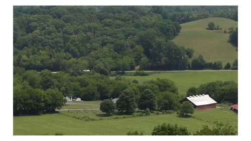 一瓶好威士忌从一棵树开始