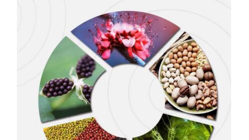 UPAI素时刻含五大类营养食材，旨在将健康带给全人类