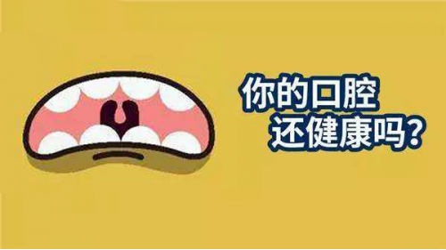 熊猫叶，调理口腔环境，呵护国人健康