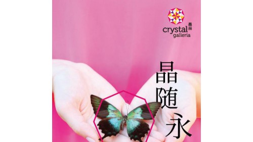 周年庆典致力品牌优化——晶随永续，充值地球家园