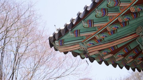 时光中缓缓流淌的小确幸——人生打卡地瑞山
