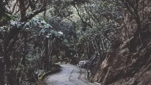 “沉默是金”之下的生活之韵