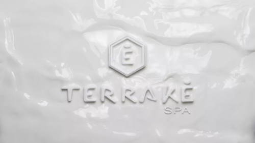 社交电商与直播 Terraké SPA法国天莱为行业注入“源动力”