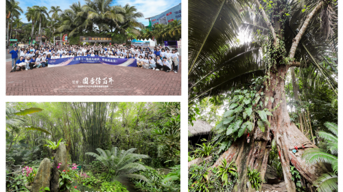 “筑梦·国香传百年”2020安的种子年会盛典暨新品发布会圆满落幕