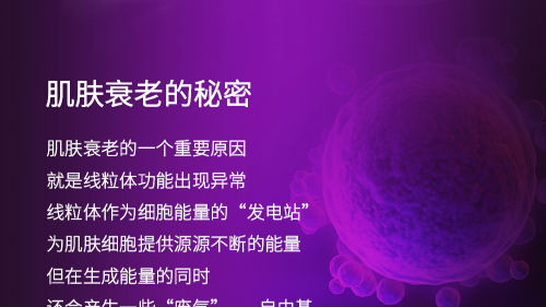奢享“永生树”精粹 | 诗臻泊焕能盈润系列赋予肌肤年轻能量