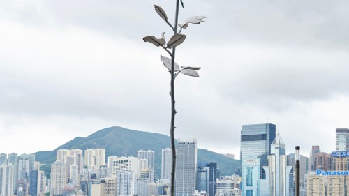 「品位大師」鄭志剛香港藝術月巨獻，巨型玫瑰綻放K11 MUSEA海濱長廊