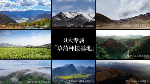 12年专研红景天，只为做更好的产品 见证“宜”朵红花的奇迹成长之路