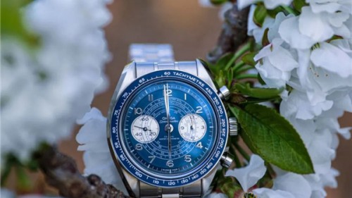 这个春天，超霸带你去赏花