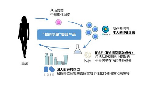 高絲、I Peace、Reju開展戰略性合作