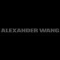 亚历山大·王(Alexander Wang)