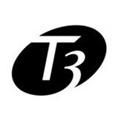 T3