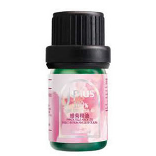 Jplus蜡菊精油